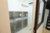 入院室（ROOM-1）
