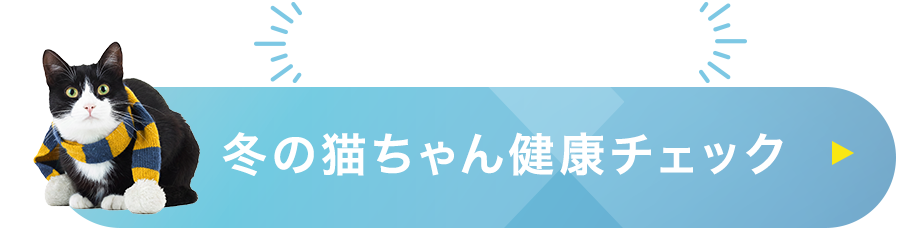 猫の健康診断キャンペーン